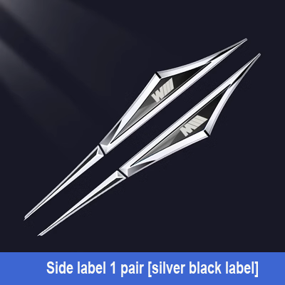 Kreative galvanisierte Auto-Aufkleber aus Metall✨2 Stück✨