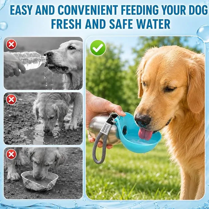 2 in 1 Portable Dog Water Bottle for Dogs