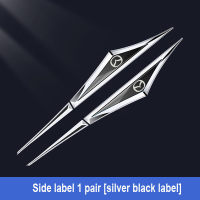 Kreative galvanisierte Auto-Aufkleber aus Metall✨2 Stück✨