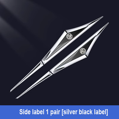 Kreative galvanisierte Auto-Aufkleber aus Metall✨2 Stück✨